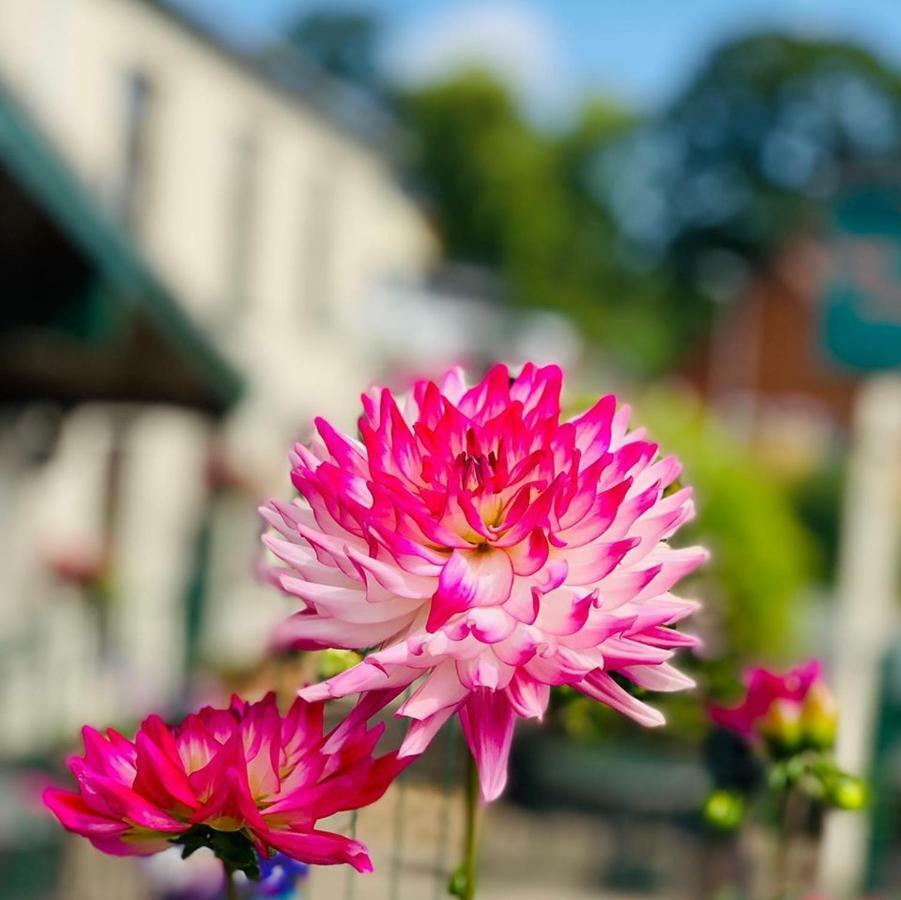 Milton Hotel Llanwern Village Newport (Gwent) Bagian luar foto